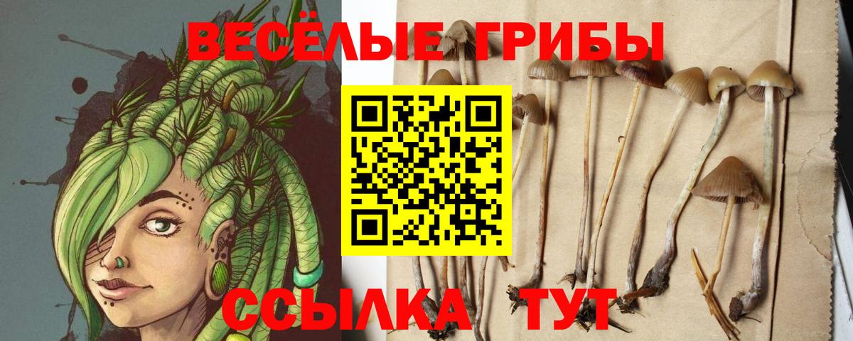 Люберцы  Галлюциногенные грибы ЛСД  Вход с VPN 