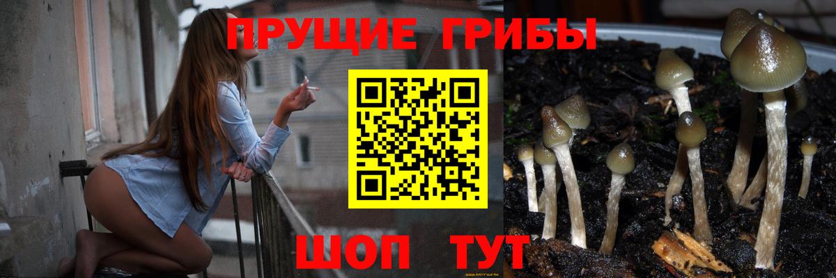 Галлюциногенные грибы ЛСД  Люберцы 